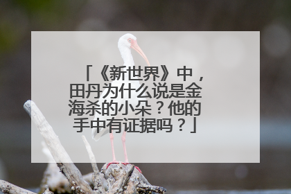 《新世界》中，田丹为什么说是金海杀的小朵？他的手中有证据吗？