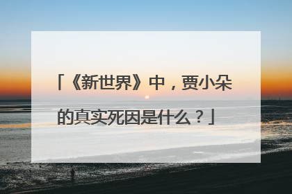 《新世界》中，贾小朵的真实死因是什么？