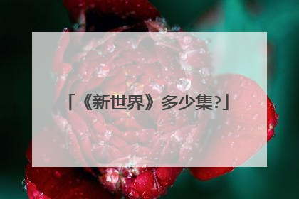 《新世界》多少集?