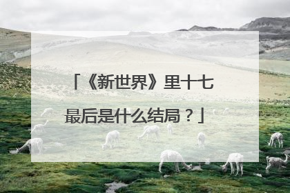 《新世界》里十七最后是什么结局？