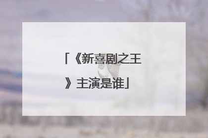 《新喜剧之王》主演是谁