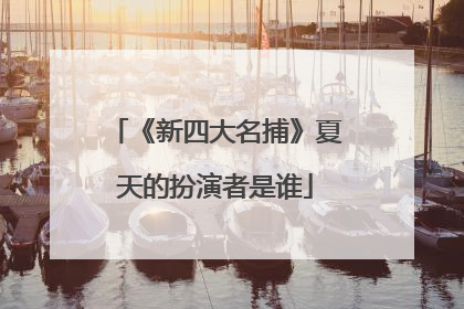 《新四大名捕》夏天的扮演者是谁