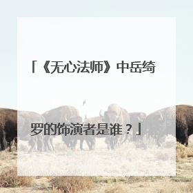 《无心法师》中岳绮罗的饰演者是谁？