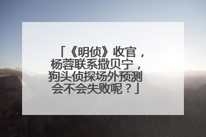 《明侦》收官，杨蓉联系撒贝宁，狗头侦探场外预测会不会失败呢？