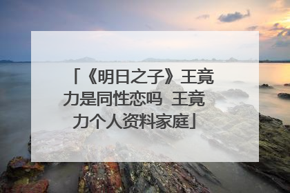 《明日之子》王竟力是同性恋吗 王竟力个人资料家庭