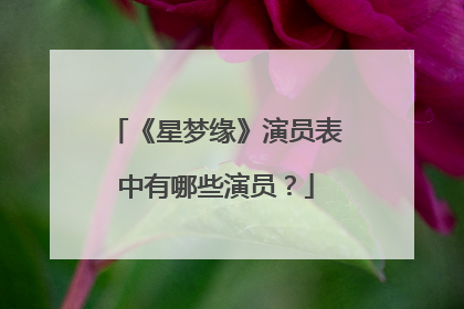 《星梦缘》演员表中有哪些演员？