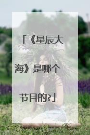 《星辰大海》是哪个节目的?