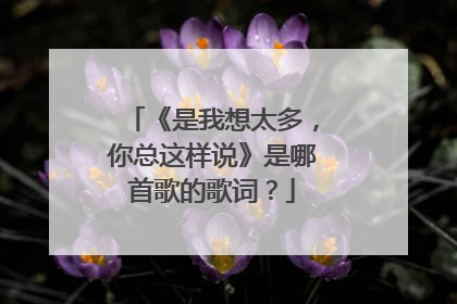 《是我想太多，你总这样说》是哪首歌的歌词？
