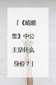 《晴雅集》中公主是什么身份？