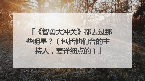 《智勇大冲关》都去过那些明星？（包括他们台的主持人，要详细点的）