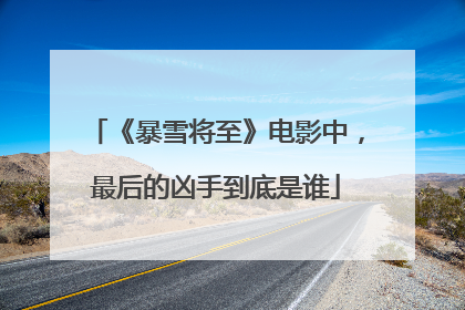 《暴雪将至》电影中,最后的凶手到底是谁