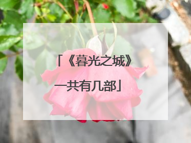 《暮光之城》一共有几部
