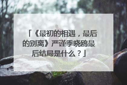 《最初的相遇，最后的别离》严谨季晓鸥最后结局是什么？