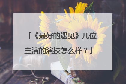 《最好的遇见》几位主演的演技怎么样？