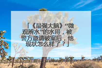 《最强大脑》“微观辨水”的水哥,被警方邀请破案后,他现状怎么样了?