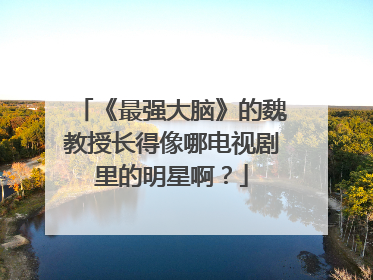 《最强大脑》的魏教授长得像哪电视剧里的明星啊?