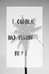 《最强大脑》名词解释？