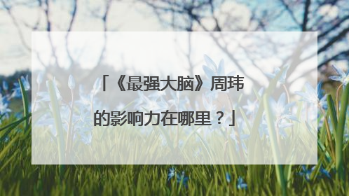 《最强大脑》周玮的影响力在哪里?