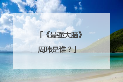 《最强大脑》周玮是谁?