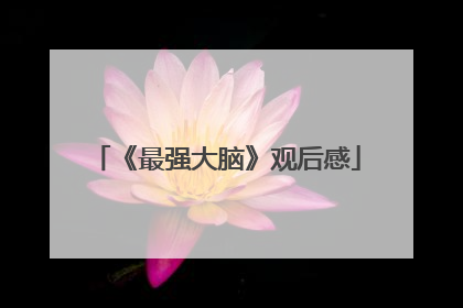 《最强大脑》观后感