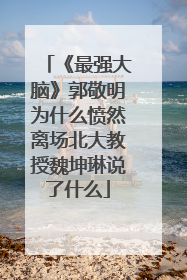 《最强大脑》郭敬明为什么愤然离场北大教授魏坤琳说了什么