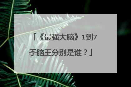 《最强大脑》1到7季脑王分别是谁？