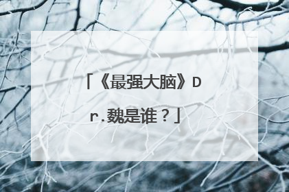 《最强大脑》Dr.魏是谁？