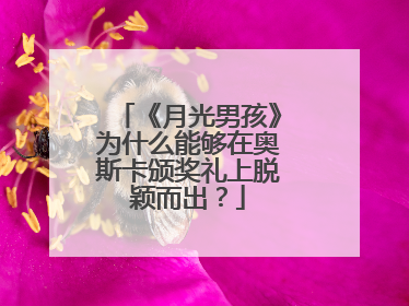 《月光男孩》为什么能够在奥斯卡颁奖礼上脱颖而出？