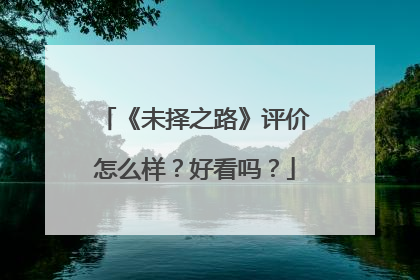 《未择之路》评价怎么样？好看吗？