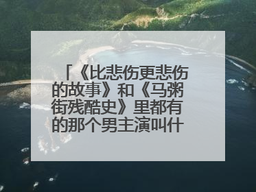《比悲伤更悲伤的故事》和《马粥街残酷史》里都有的那个男主演叫什么?他还演过哪些电影?