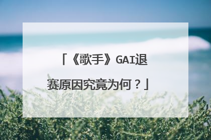 《歌手》GAI退赛原因究竟为何？