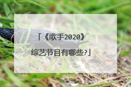 《歌手2020》 综艺节目有哪些?
