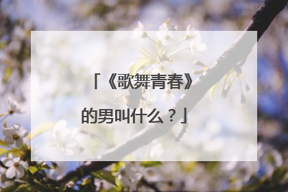 《歌舞青春》的男叫什么？