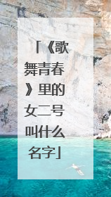 《歌舞青春》里的女二号叫什么名字