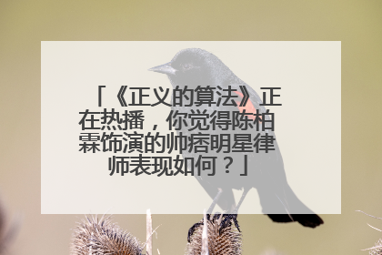 《正义的算法》正在热播，你觉得陈柏霖饰演的帅痞明星律师表现如何？