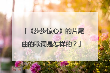 《步步惊心》的片尾曲的歌词是怎样的?