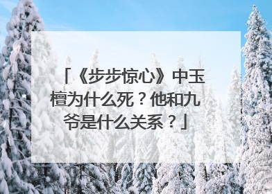 《步步惊心》中玉檀为什么死？他和九爷是什么关系？