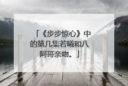 《步步惊心》中的第几集若曦和八阿哥亲吻。