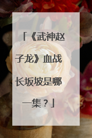 《武神赵子龙》血战长坂坡是哪一集？