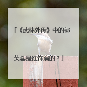 《武林外传》中的郭芙蓉是谁饰演的?