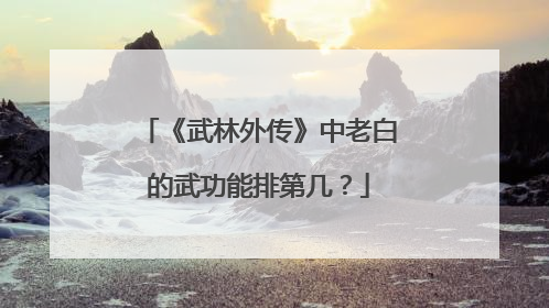 《武林外传》中老白的武功能排第几？