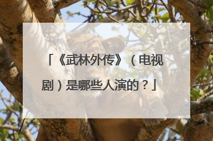 《武林外传》(电视剧)是哪些人演的?