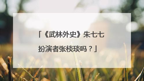 《武林外史》朱七七扮演者张棪琰吗?