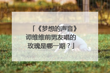 《梦想的声音》谭维维前男友唱的玫瑰是哪一期?