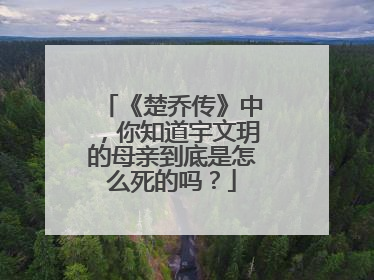 《楚乔传》中,你知道宇文玥的母亲到底是怎么死的吗?