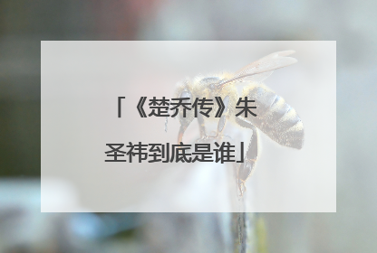 《楚乔传》朱圣祎到底是谁