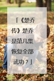 《楚乔传》楚乔是第几集恢复全部武功？