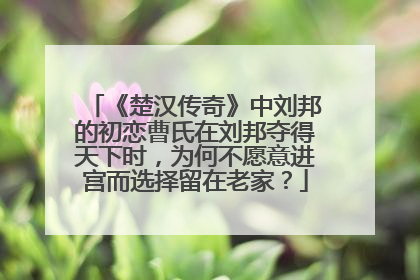 《楚汉传奇》中刘邦的初恋曹氏在刘邦夺得天下时，为何不愿意进宫而选择留在老家？