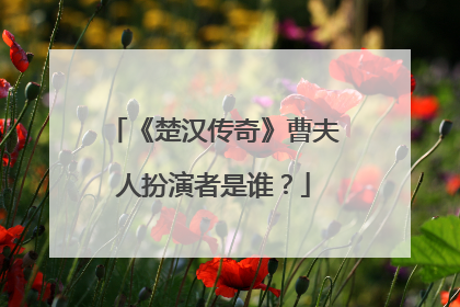 《楚汉传奇》曹夫人扮演者是谁？