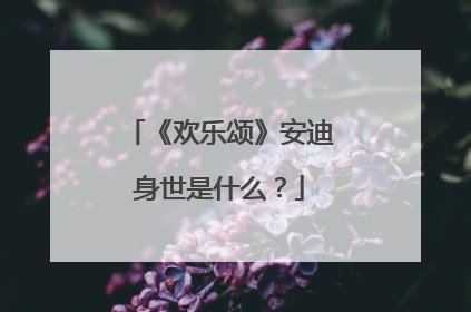 《欢乐颂》安迪身世是什么？